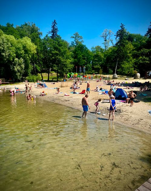 Katarzyna Wiśniewska